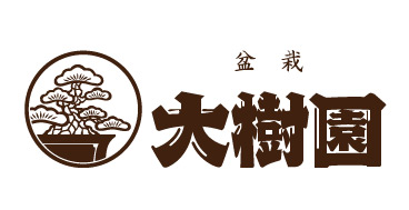 盆栽 大樹園